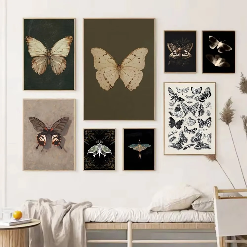 1 buah Poster Kupu-kupu Putih  - Home Bar And Restaurant ulasan dan harga