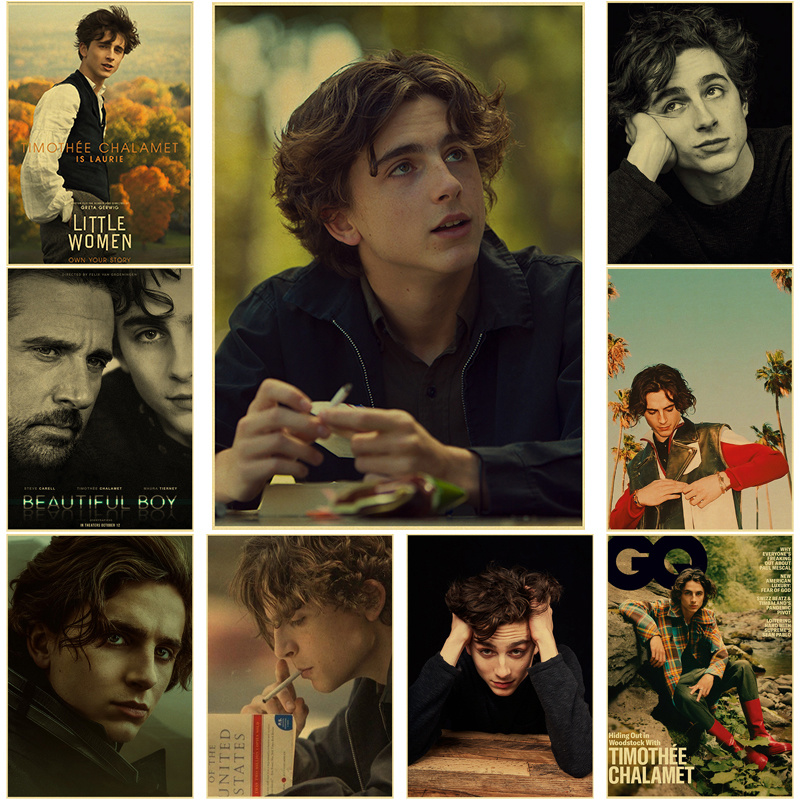 Timothe Chalamet lukisan kanva - Home Bar And Theater ulasan dan harga