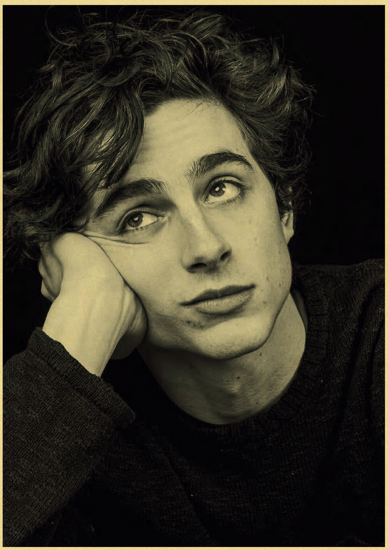 Timothe Chalamet lukisan kanva - Home Bar And Theater ulasan dan harga